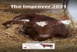 CMSS Improver 2021 - Milking Shorthorn