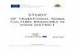 OF TRADITIONAL ROMA CULTURE BRANCHES IN VIDIN DISTRICT