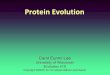 Protein Evolution - University of Wisconsin–Madison