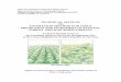 TECHNICAL MANUAL ON ESTIMATION METHOD FOR YIELD …