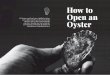 AOC farmers work hard to grow Appellation Oysters art of 