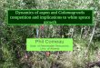 Dynamics of aspen and Calamagrostis