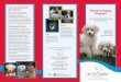 How can your group get involved? Name-A-Puppy Program