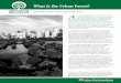 What Is the Urban Forest?