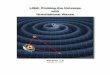 LISA: Probing the Universe with Gravitational Waves