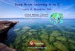 Deep Brain Learning A to Z