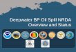 Deepwater BP Oil Spill NRDA Overview and Status
