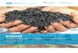 ©2021 BIOCHAR Agricultural applications and benefits for 