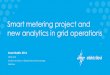 Smart metering project and new analytics in grid operations