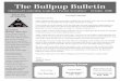 The Bullpup Bulletin
