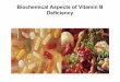 Biochemical Aspects of Vitamin B Deficiency