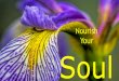 Nourish Your Soul - holisticskincarepractitioners.org