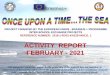 ACTIVITY REPORT FEBRUARY - 2021