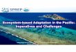 Ecosystem-based Adaptation in the Pacific: Imperatives and 
