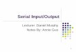 Serial Input/Output
