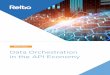 White Paper Data Orchestration in the API Economy