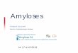 IgM et amylose (Benjamin Terrier) - CHU Limoges