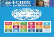 24 octobre JOURNEE DES NATIONS UNIES - MONUSCO