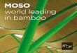 MOSO world leading in bamboo - Agence Gobin