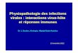 Physiopathologie des infections virales : interactions 
