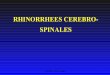 RHINORRHEES CEREBRO- SPINALES