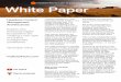 Whitepaper - headless CMS - WordPress.com