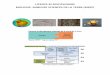 LICENCE BI-DISCIPLINAIRE BIOLOGIE- MINEURE SCIENCES DE LA 