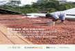 Fèves de cacao: Exigences de qualité de l’industrie du 