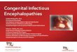 Congenital Infectious Encephalopathies