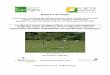 Rapport de stage - Agroforesterie et élévage-Projet PARASOL