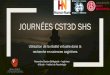 JOURNÉES CST3D SHS
