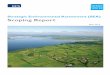 Strategic Environmental Assessment (SEA) Scoping Report