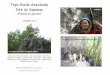Topo-Guide d’escalade Site du Sapenay Photo : Ludo Amandine