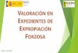 VALORACIÓN EN EXPEDIENTES DE EXPROPIACIÓN FORZOSA