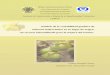 Solanum habrochaites en su lugar de origen, un recurso 