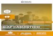 SIAF CASUISTICO - TEMARIO 2020 VIRTUAL