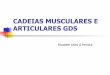 CADEIAS MUSCULARES E ARTICULARES GDS