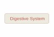 Digestive System - lecture-notes.tiu.edu.iq