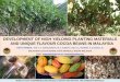 DEVELOPMENT OF HIGH YIELDING PLANTING MATERIALS AND …