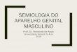 SEMIOLOGIA DO APARELHO GENITAL MASCULINO
