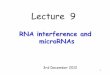 RNA interference and microRNAs