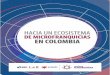 HACIA UN ECOSISTEMA DE MICROFRANQUICIAS EN COLOMBIA