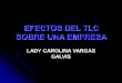 LADY CAROLINA VARGAS GALVIS - repository.unab.edu.co