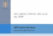 UN CAMPUS VIRTUAL MÁS ALLÁ PDF - Jornadas de Innovación 