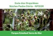 Guia das Orquídeas Núcleo Padre Dória - NPDOR