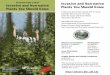 Recognition caRds invasive and non-native Plants You 