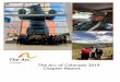 The Arc of Colorado 2019 Chapter Report