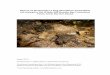 Report on Hochstetter’s frog abundance and habitat 