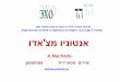 Ивритская лирика в переводах