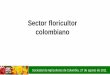 Sector floricultor colombiano